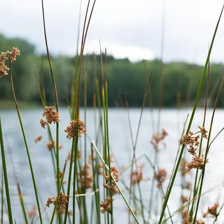 Europe Tents Domaine Des Messires Herpelmont