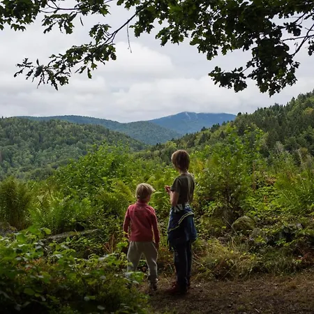 Europe Tents Domaine Des Messires 豪华帐篷 Herpelmont