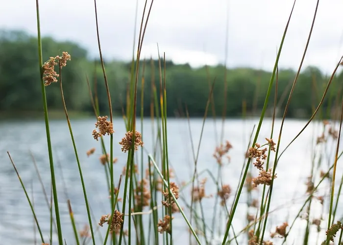 Europe Tents Domaine Des Messires Herpelmont