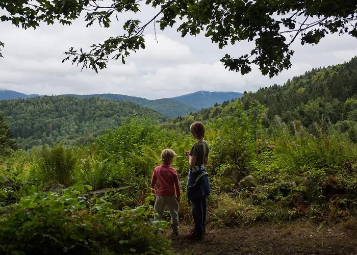 Europe Tents Domaine Des Messires 豪华帐篷 Herpelmont