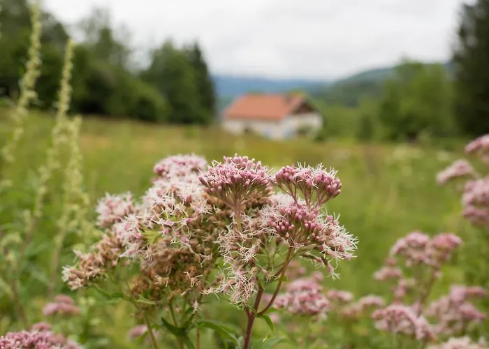 Europe Tents Domaine Des Messires *