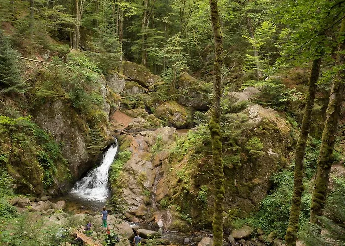 Europe Tents Domaine Des Messires Herpelmont