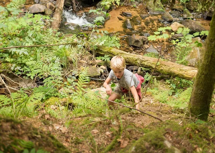 Europe Tents Domaine Des Messires 豪华帐篷 Herpelmont